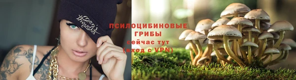 прущая мука Бородино