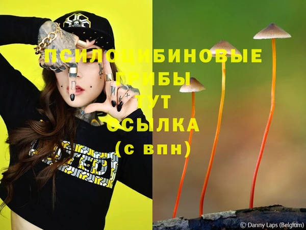 синтетический гашиш Бугульма