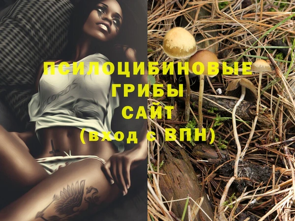 гашиш Бронницы