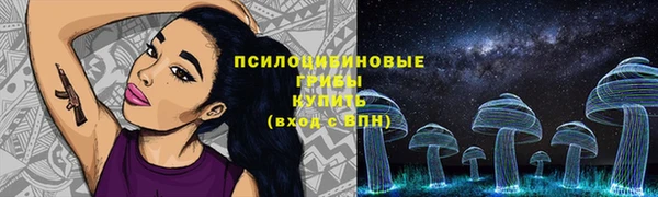 прущая мука Бородино