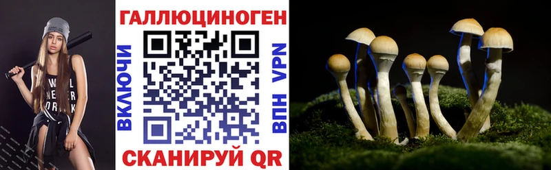 где купить наркотик  Балаково  Псилоцибиновые грибы Cubensis 